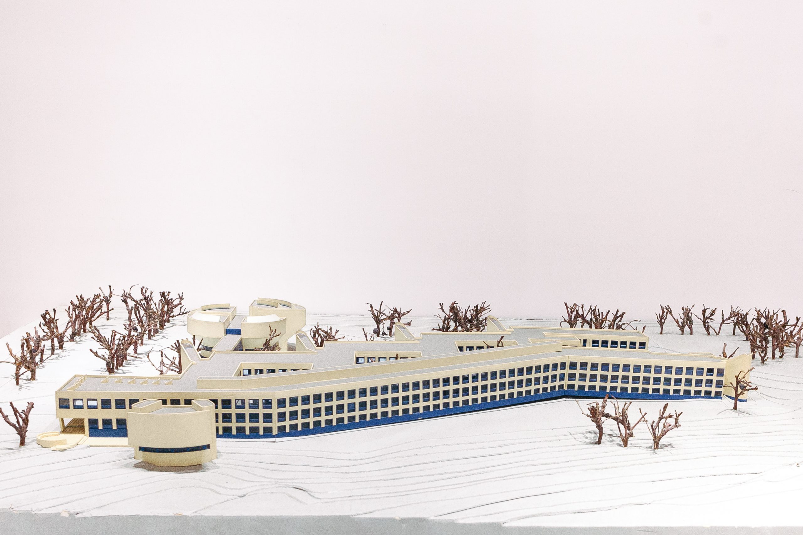 Eesti Põllumajanduse Akadeemia (nüüd Eesti Maaülikool) õppehoone Tartus Kreutzwaldi 5. Valve Pormeister, 1976.